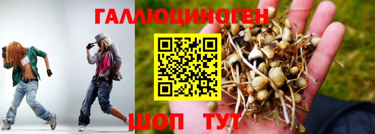 Псилоцибиновые грибы GOLDEN TEACHER Вольск
